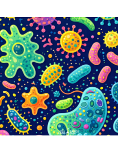 Bio/Steam - Microphotography Exploration Kit